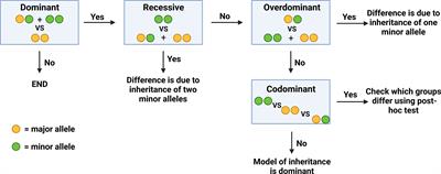 Rs205764 and rs547311 in linc00513 may influence treatment responses in multiple sclerosis patients: A pharmacogenomics Egyptian study